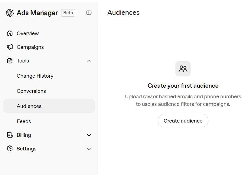 ChatGPT Ads audience