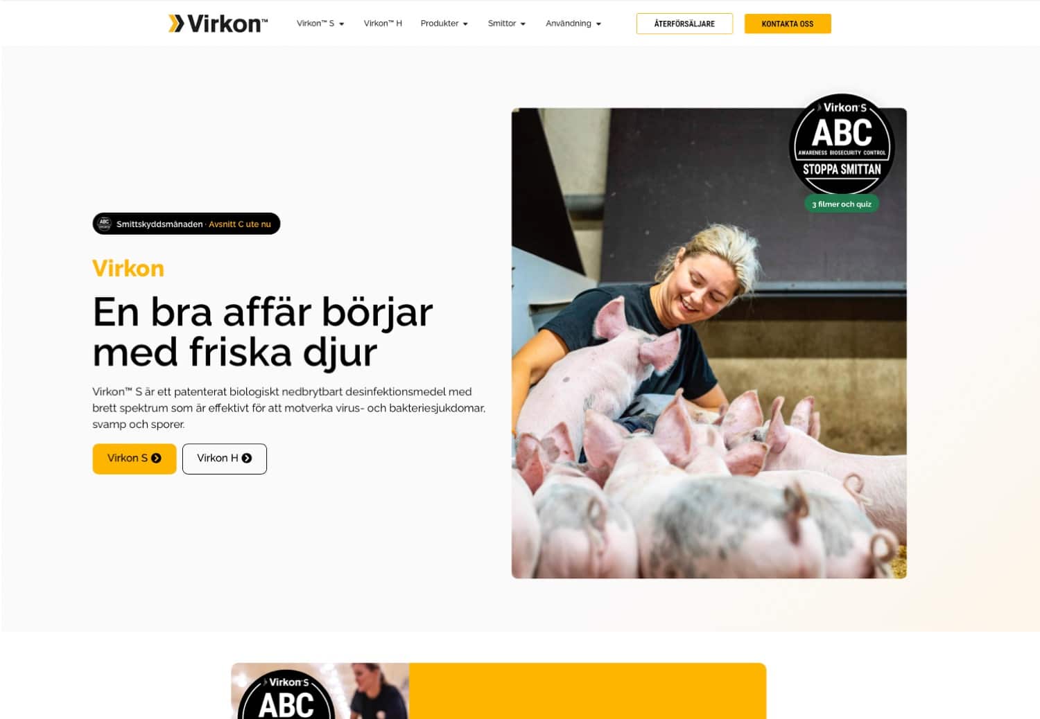 Virkons webbsida innan insatser