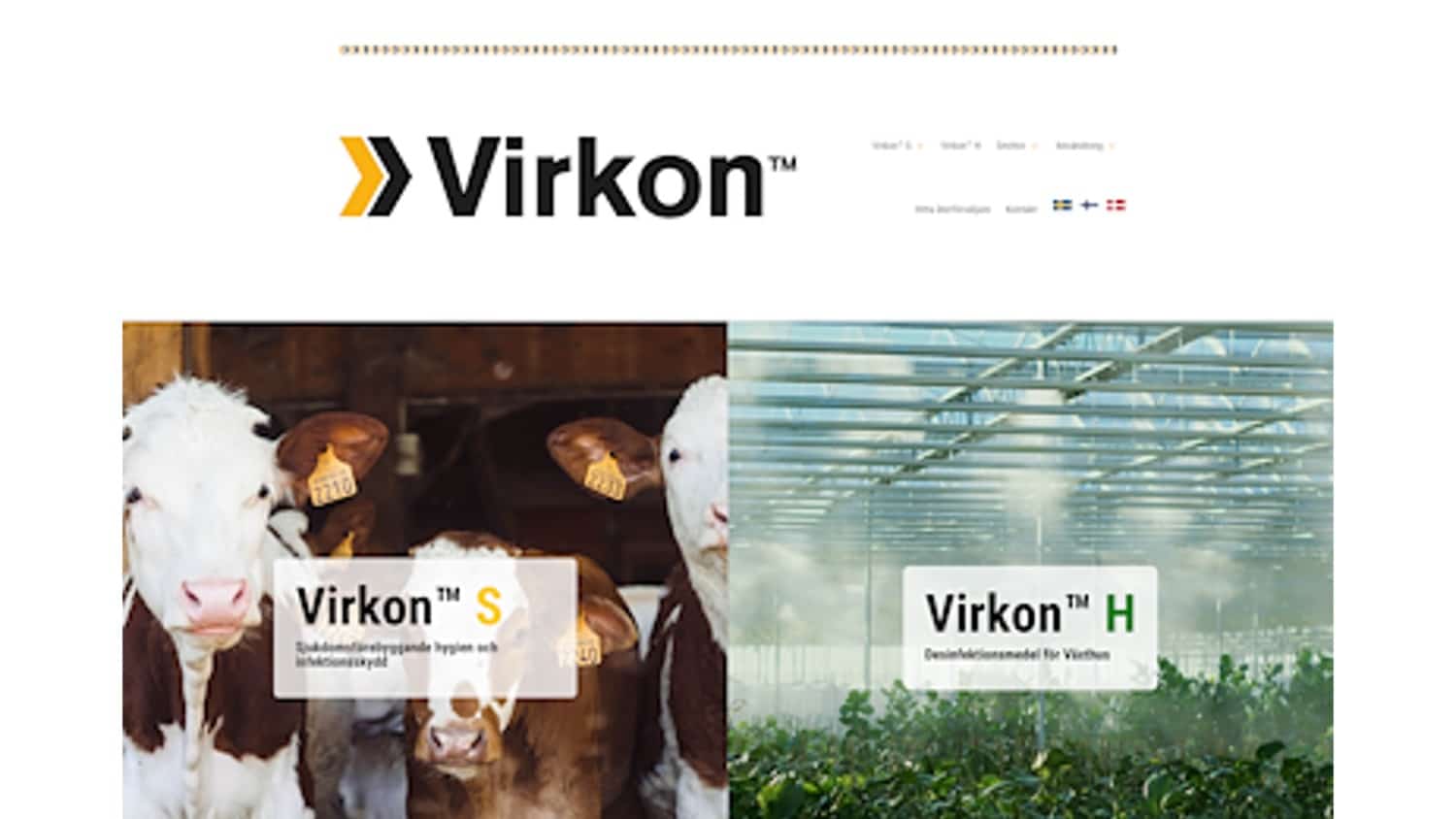 Virkons webbsida innan insatser